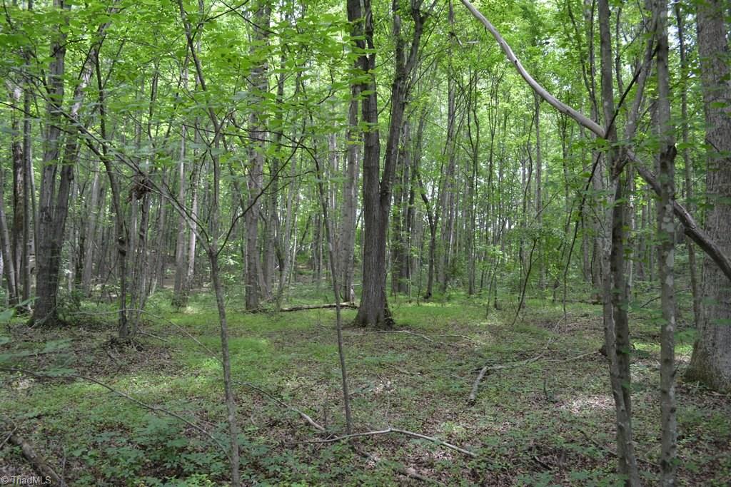 0 Johnson Road Mount Airy, NC 27030 - Photo 16 of 16 Gallery Image 16