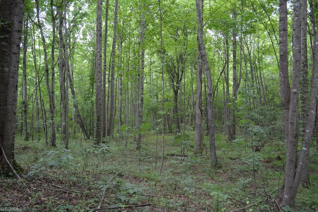 0 Johnson Road Mount Airy, NC 27030 - Photo 8 of 16 Gallery Image 8