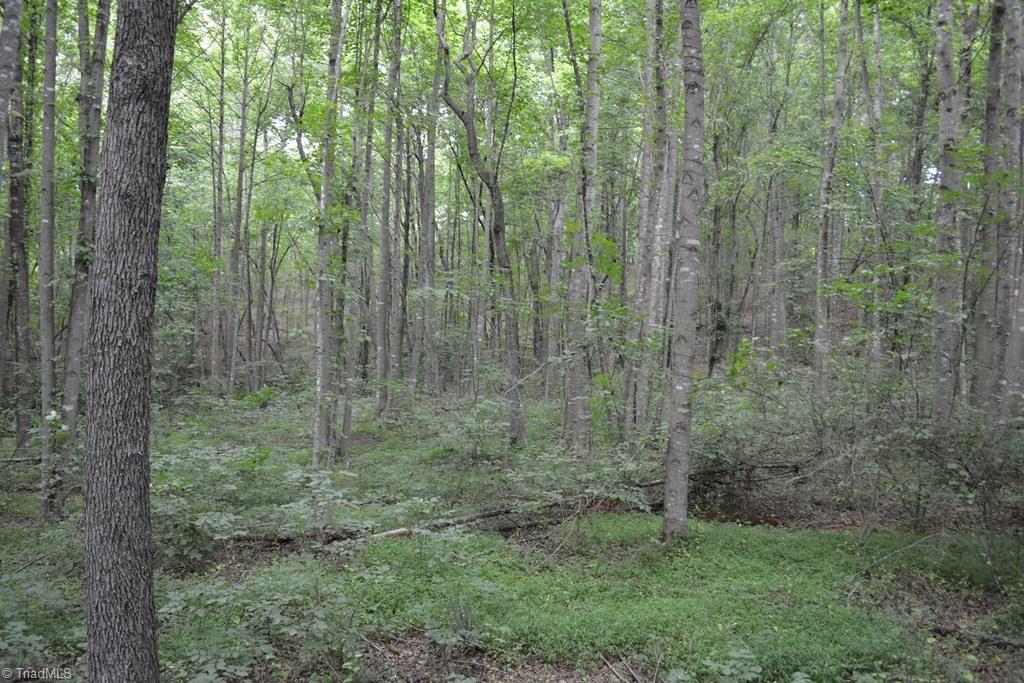 0 Johnson Road Mount Airy, NC 27030 - Photo 10 of 16 Gallery Image 10