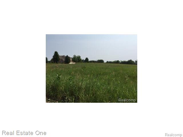 1 Spiroff Highland, MI 48357 - Photo 2 of 5
