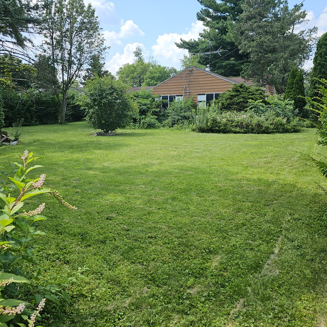 5547 South Peck Avenue Countryside, IL 60525 - Photo 2 of 6 a view of a garden with a large trees