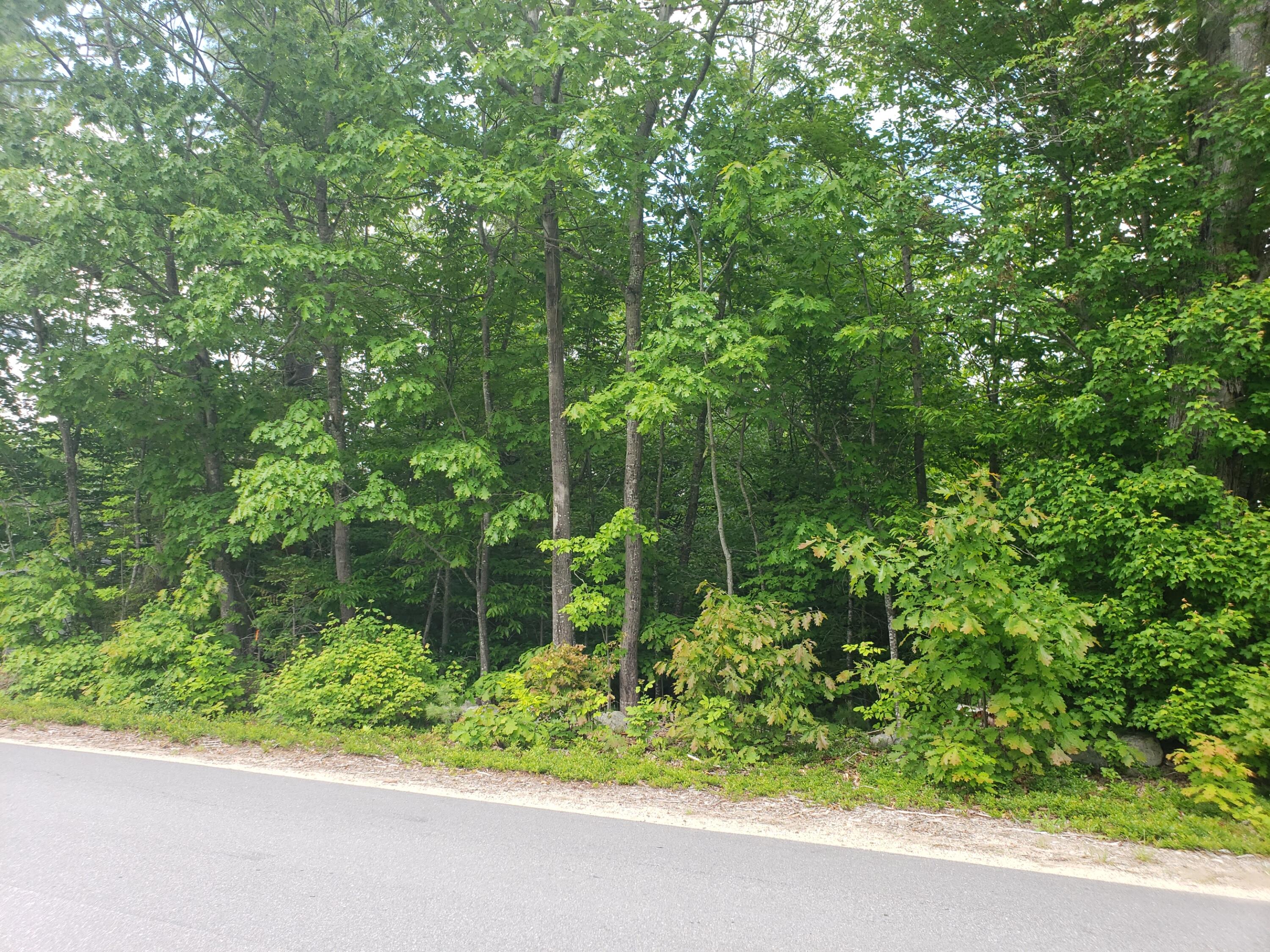 237 Middle Ridge Road Bridgton, ME 04009 - Photo 14 of 30 road front