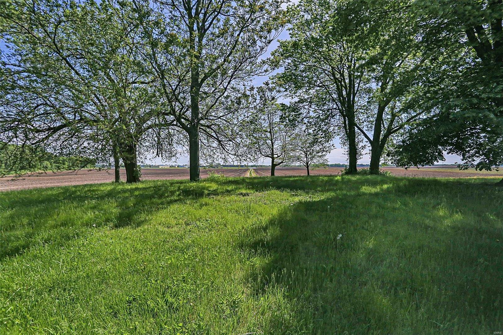 1501 Formosa Road Collinsville, IL 62234 - Photo 3 of 37