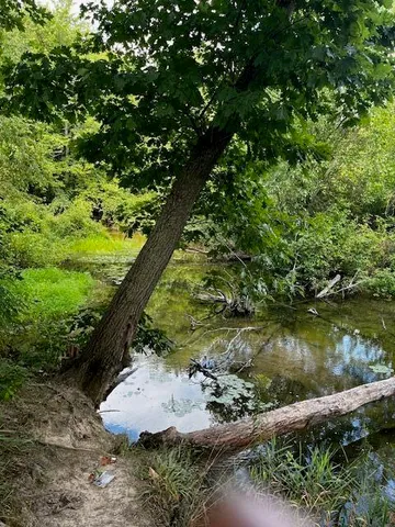 $11,500 | 12808 Lincoln Lake Avenue Northeast, Gowen, MI 49326