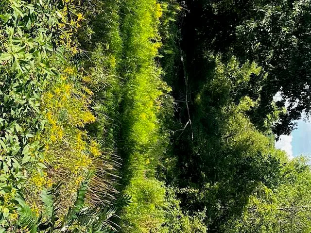 $11,500 | 12808 Lincoln Lake Avenue Northeast, Gowen, MI 49326