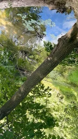 $11,500 | 12808 Lincoln Lake Avenue Northeast, Gowen, MI 49326