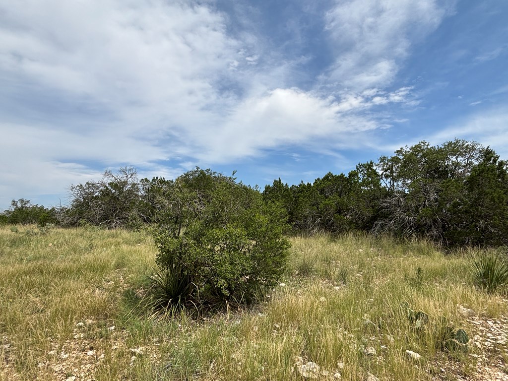 667 Other Rocksprings, TX 78880 - Photo 25 of 30