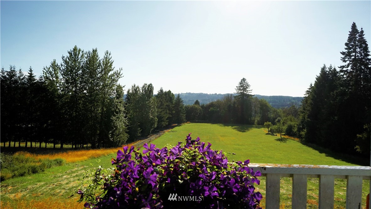 288 Birley Road Mossyrock, WA 98564 - Photo 19 of 24 Gallery Image 19