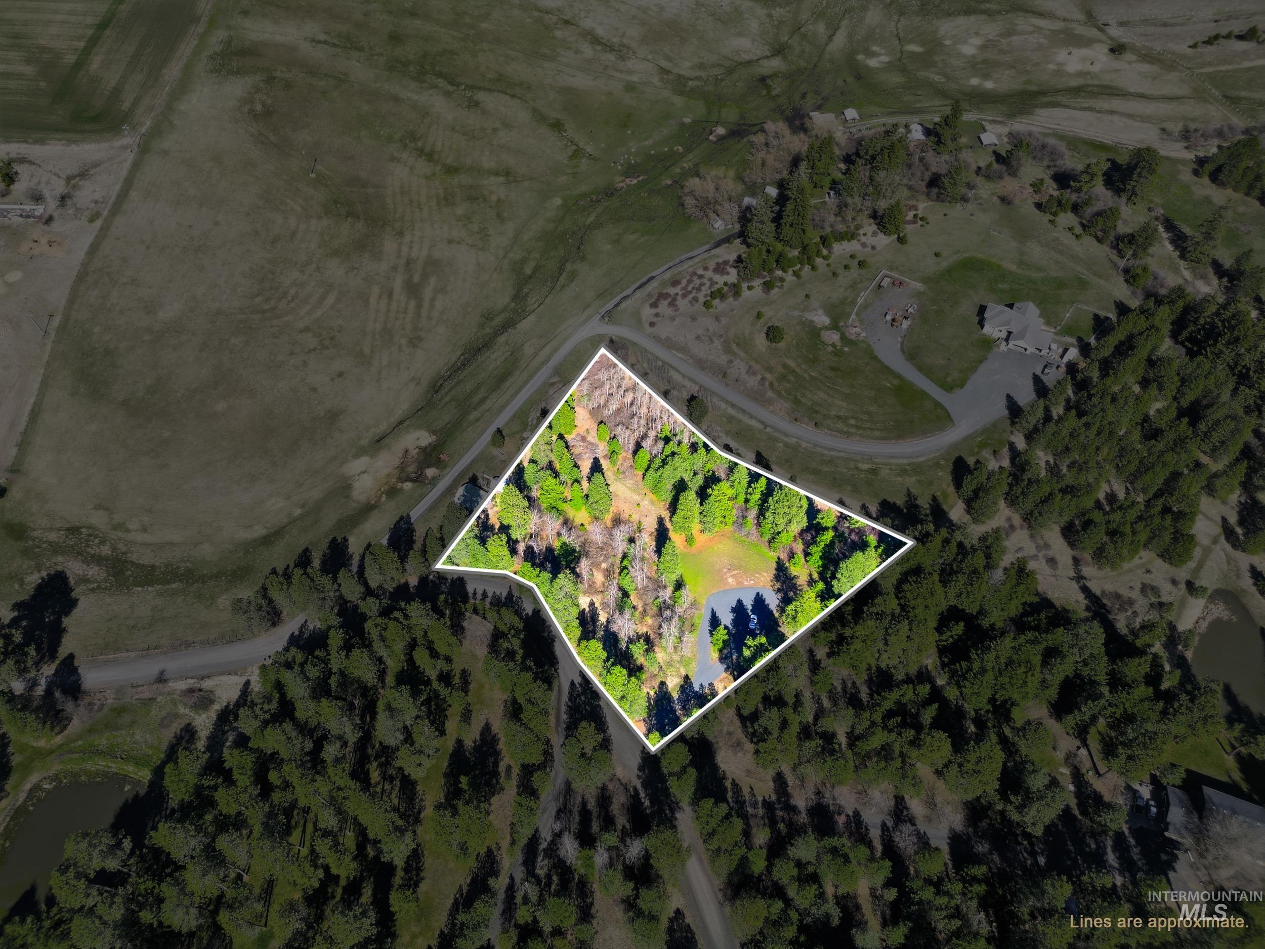 1114 Paradise Ridge Road Moscow, ID 83843 - Photo 9 of 17