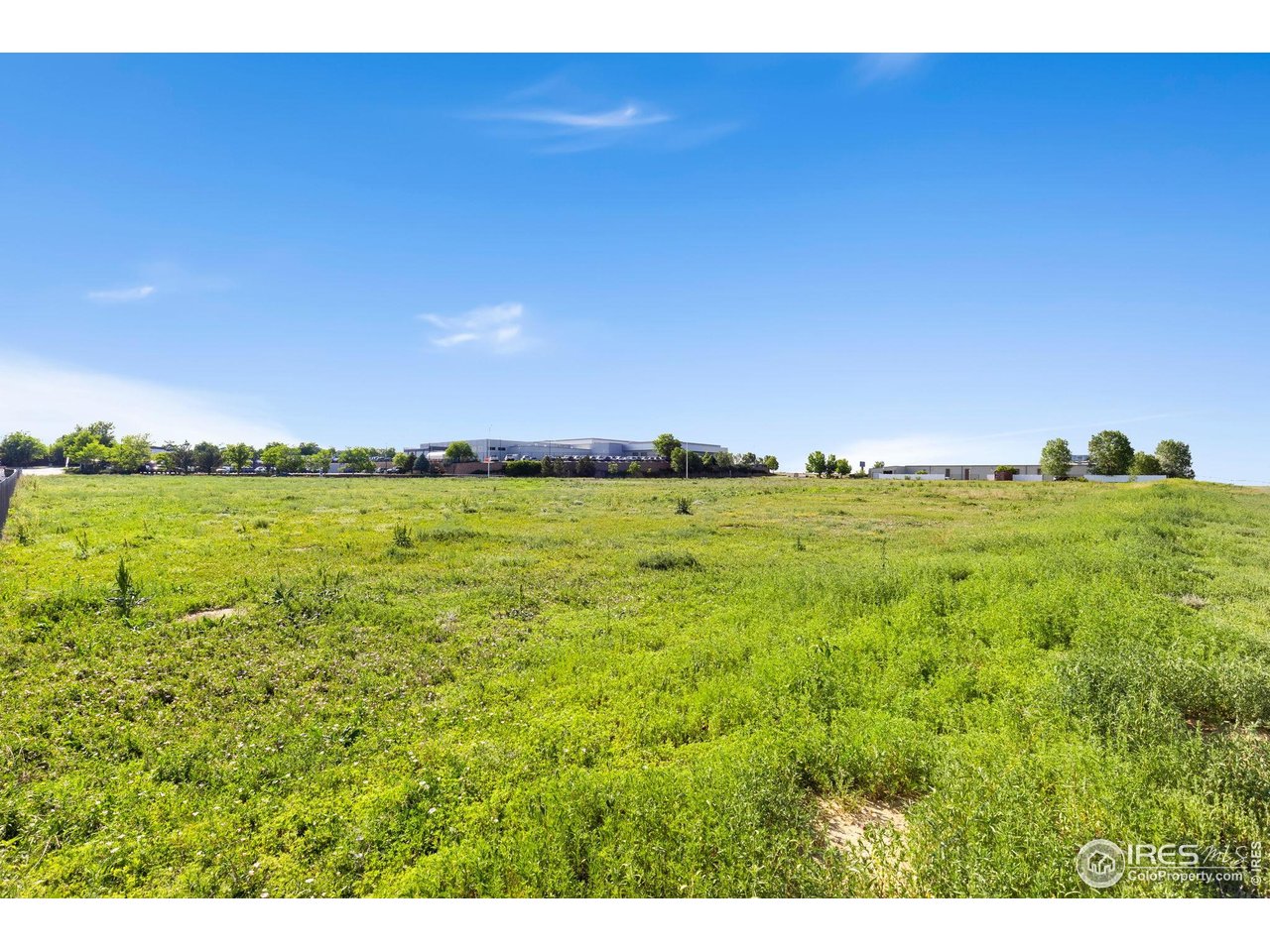8360 Raspberry Way Frederick, CO 80504 - Photo 7 of 8 a view of a field with an ocean