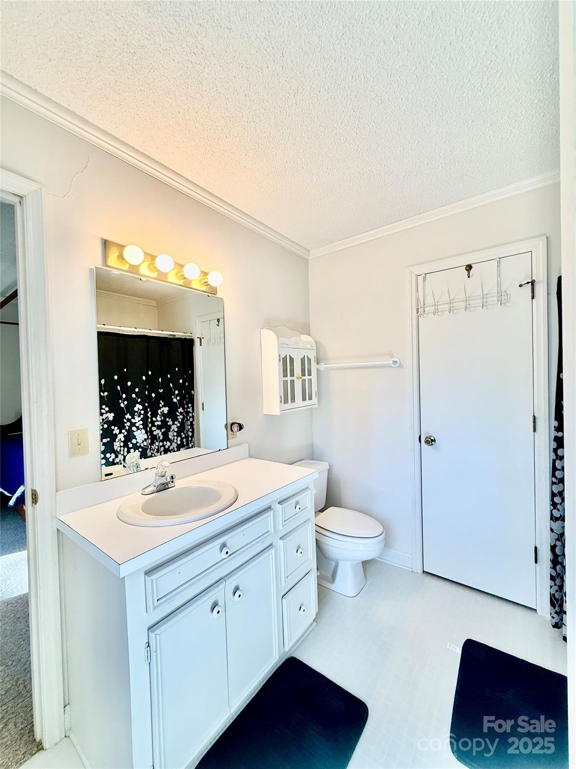 2178 Duck Cove Road Camden, SC 29020 - Photo 14 of 38 a bathroom with a sink a toilet and mirror