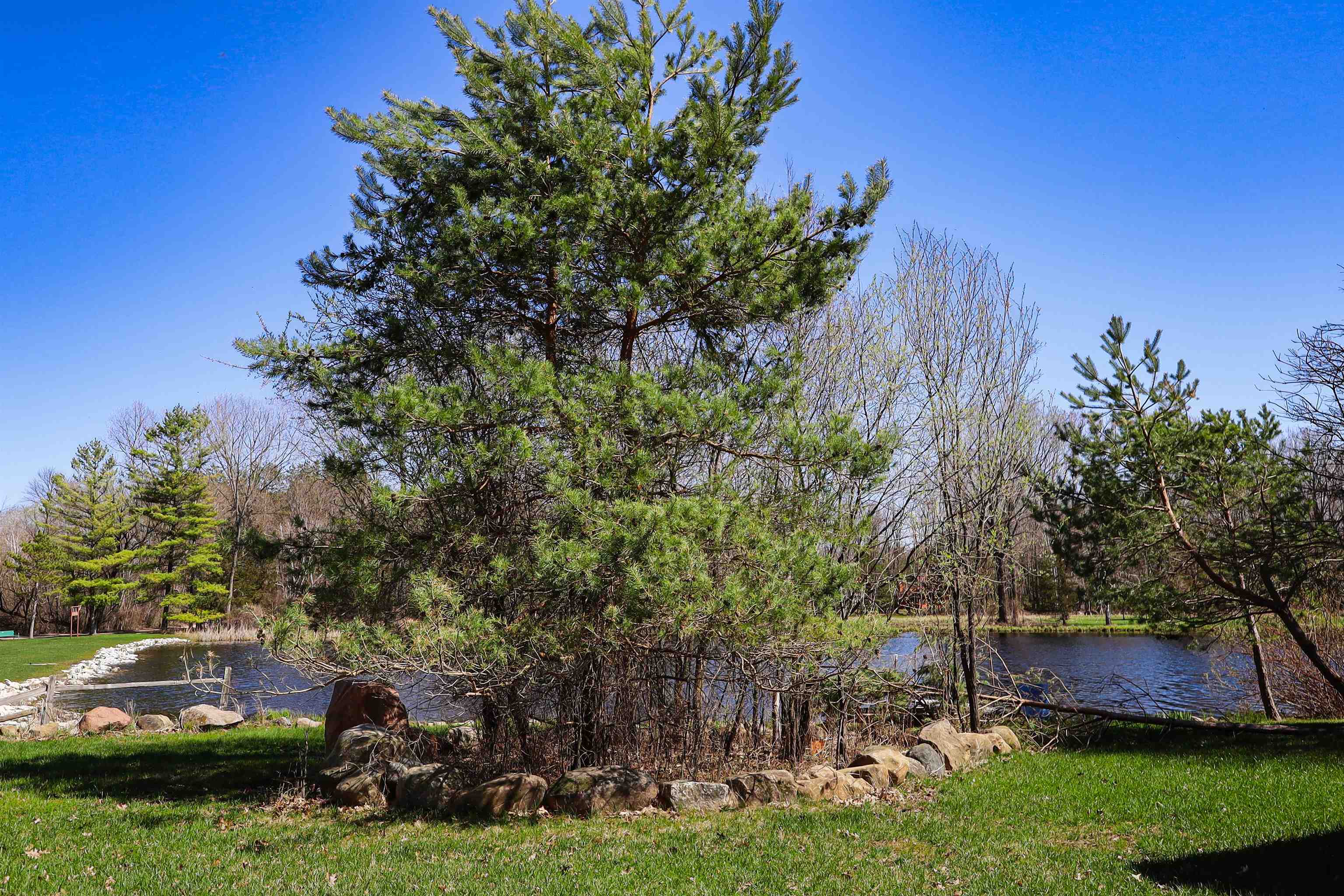 Fox Road Montello, WI 53949 - Photo 6 of 22