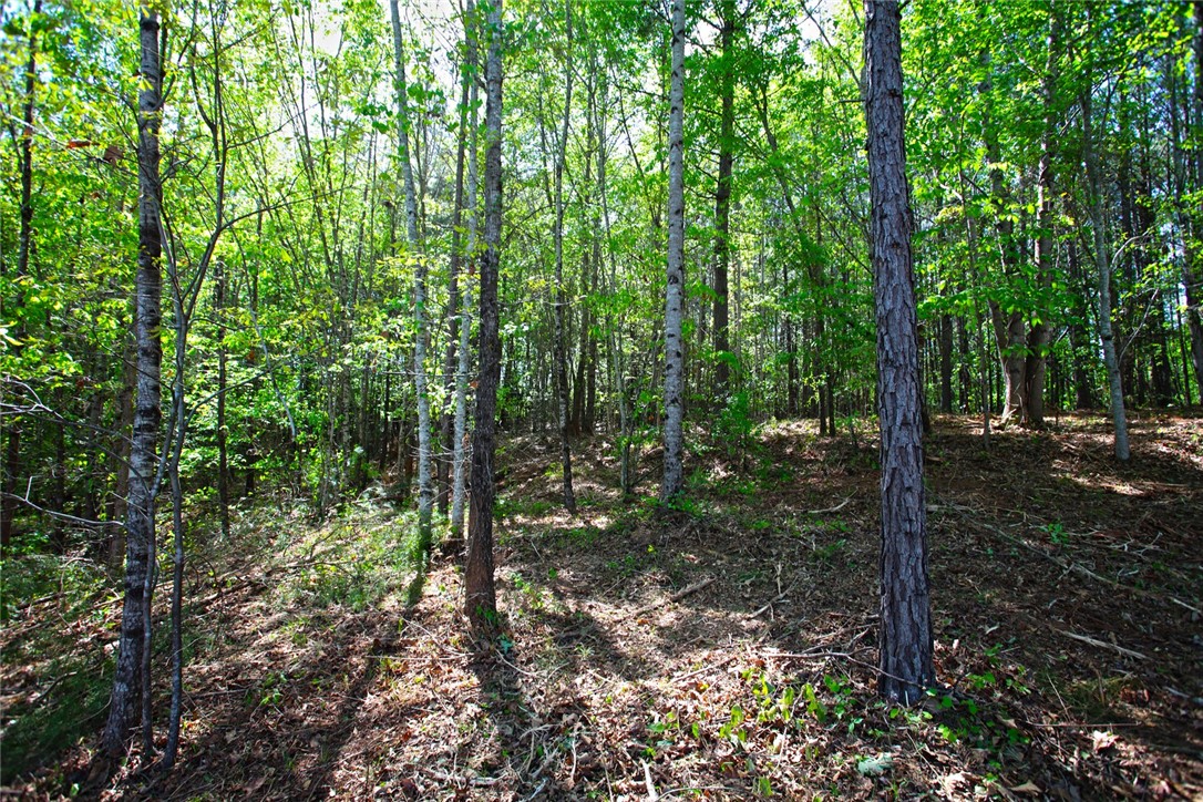Lot 91 Harbor Point Seneca, SC 29672 - Photo 20 of 24 A verdant woodland provides a private, natural setting.