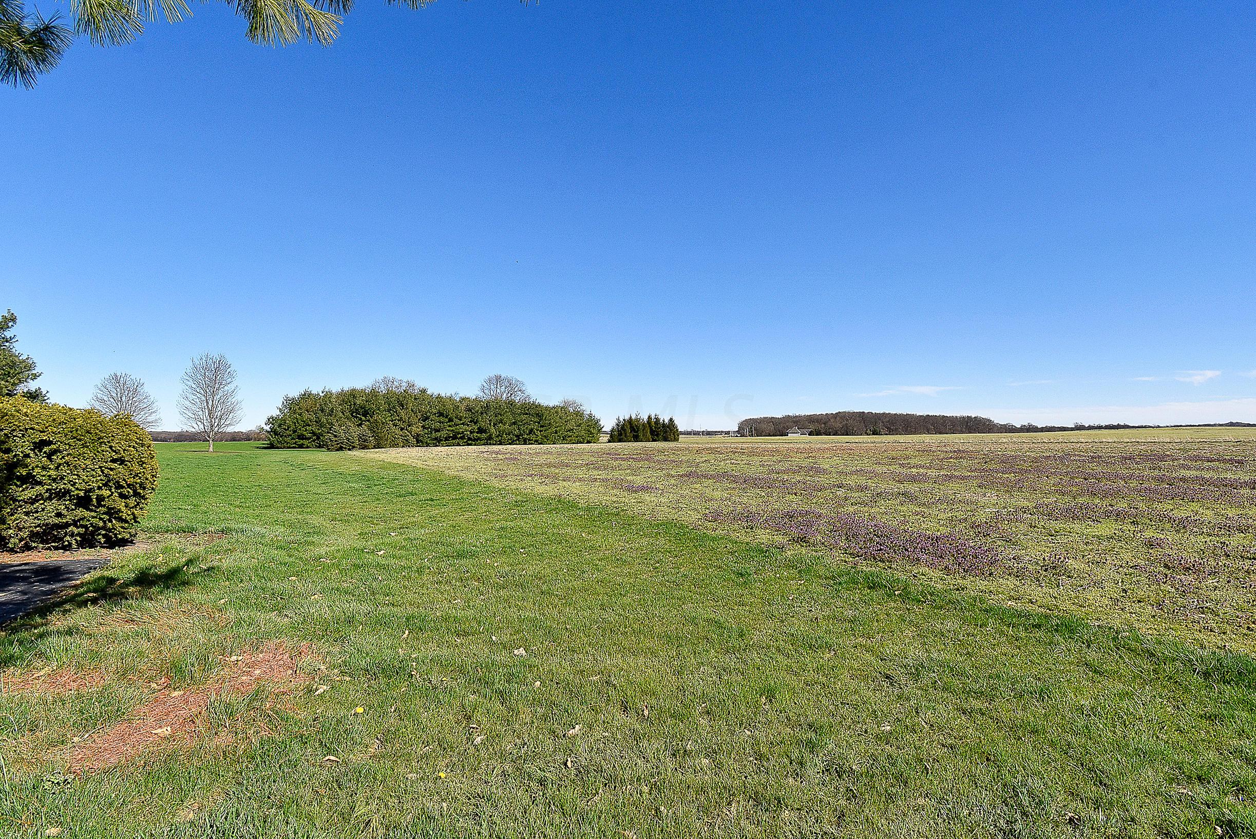 17621 Commercial Point Road Circleville, OH 43113 - Photo 41 of 61 Gallery Image 41