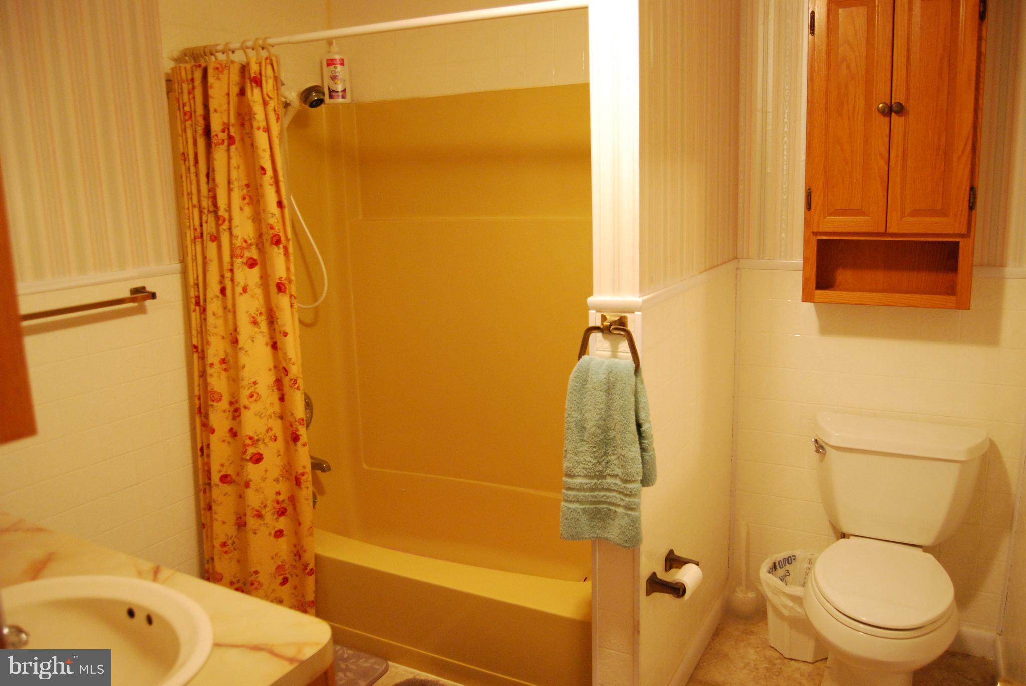 10509 Bird River Road Baltimore, MD 21220 - Photo 18 of 30 Main Level Full Bath