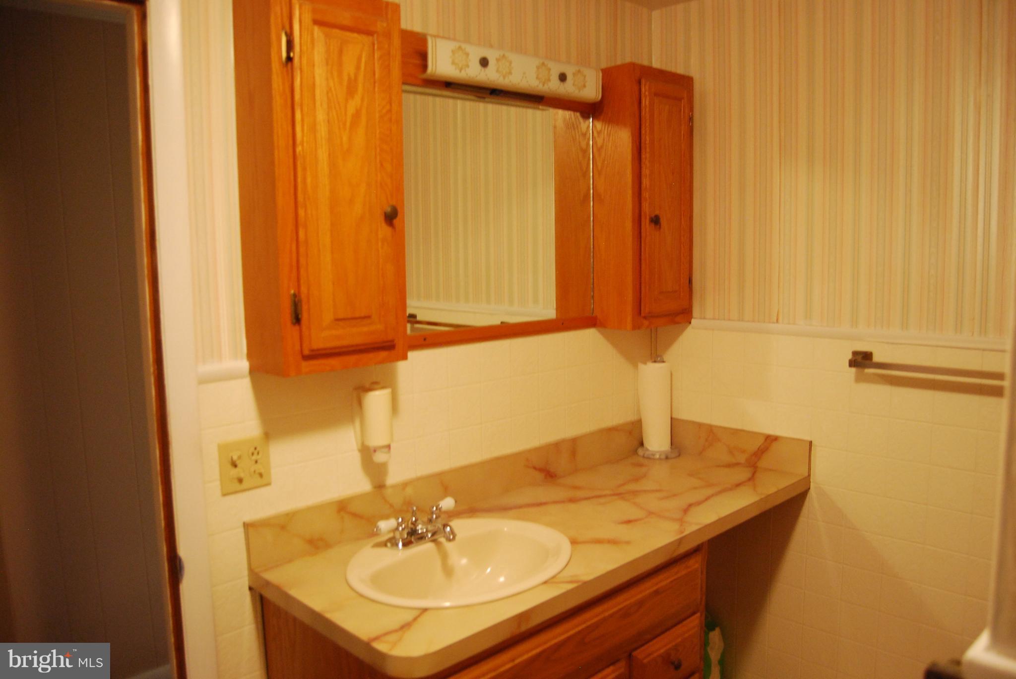 10509 Bird River Road Baltimore, MD 21220 - Photo 19 of 30 Main Level Full Bath