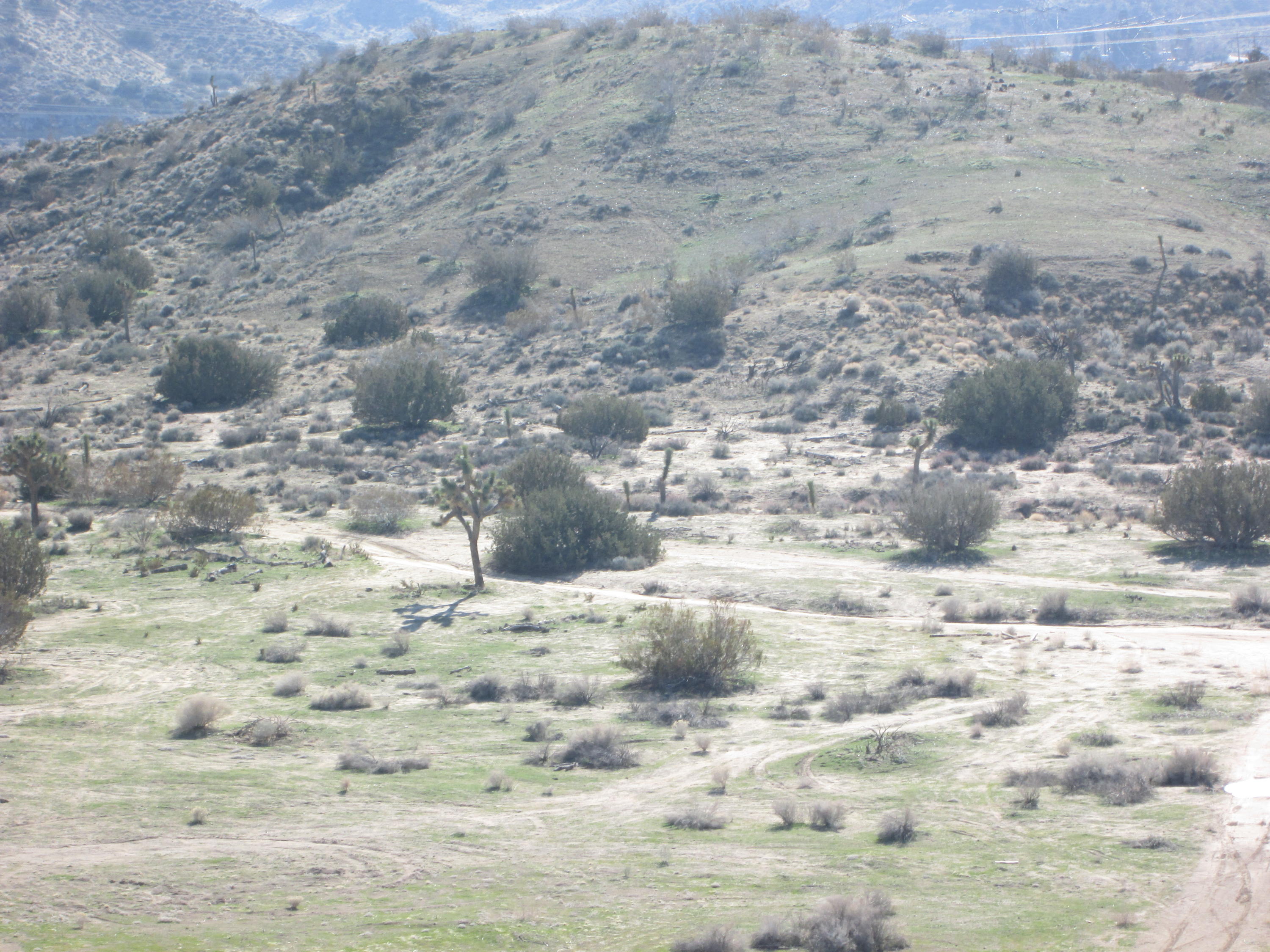 U8 Vic Cheseboro Rd & Avenue Palmdale, CA 93552 - Photo 3 of 25 IMG_6004