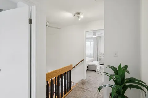 a potted plant sitting in front of a bathroom