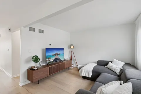 a living room with furniture and a potted plant