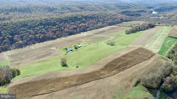 a view of a garden with a lot of flower plants and wooden fence