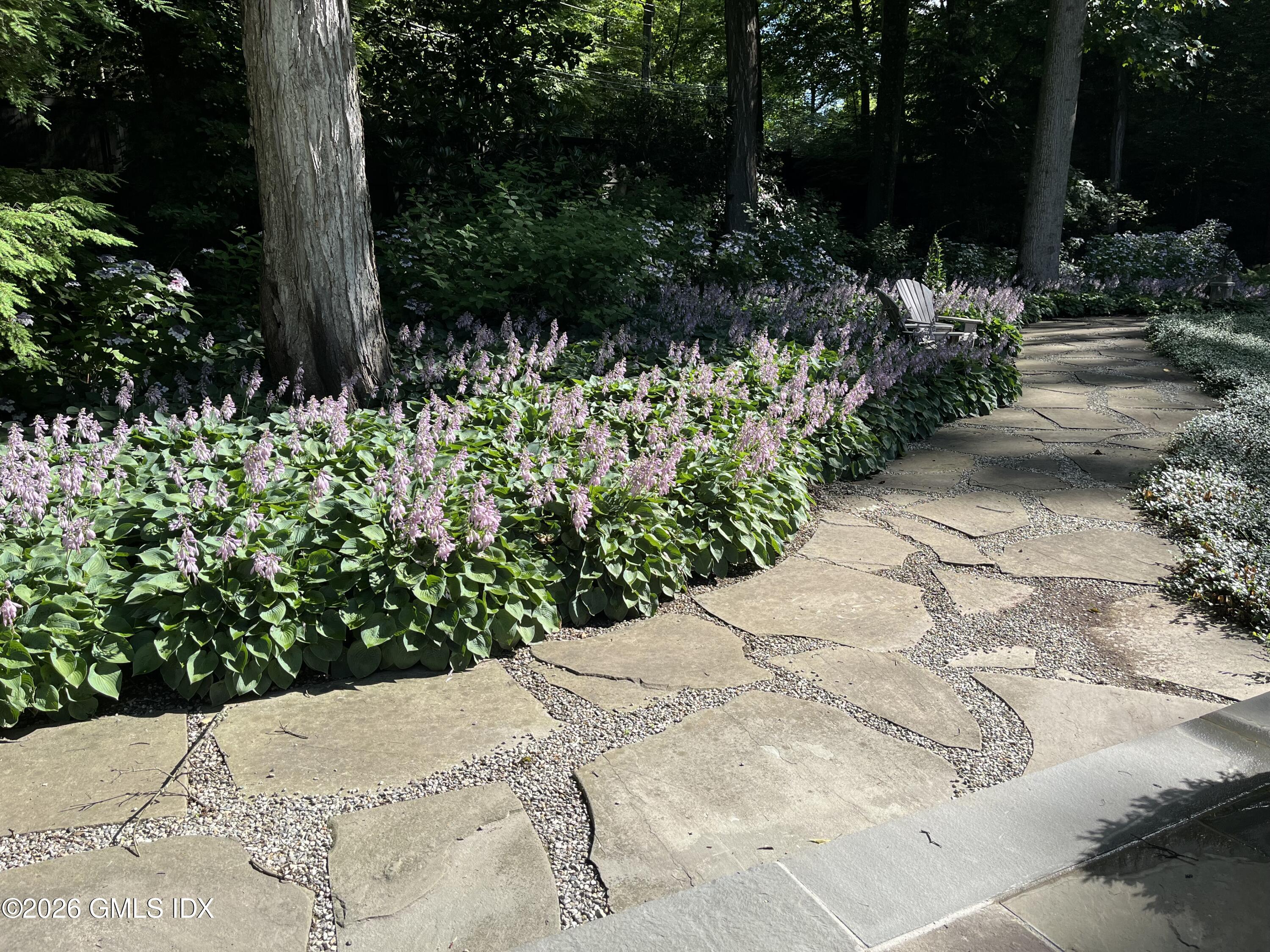 1102 Rock Rimmon Road Stamford, CT 06903 - Photo 17 of 28 hosta garden