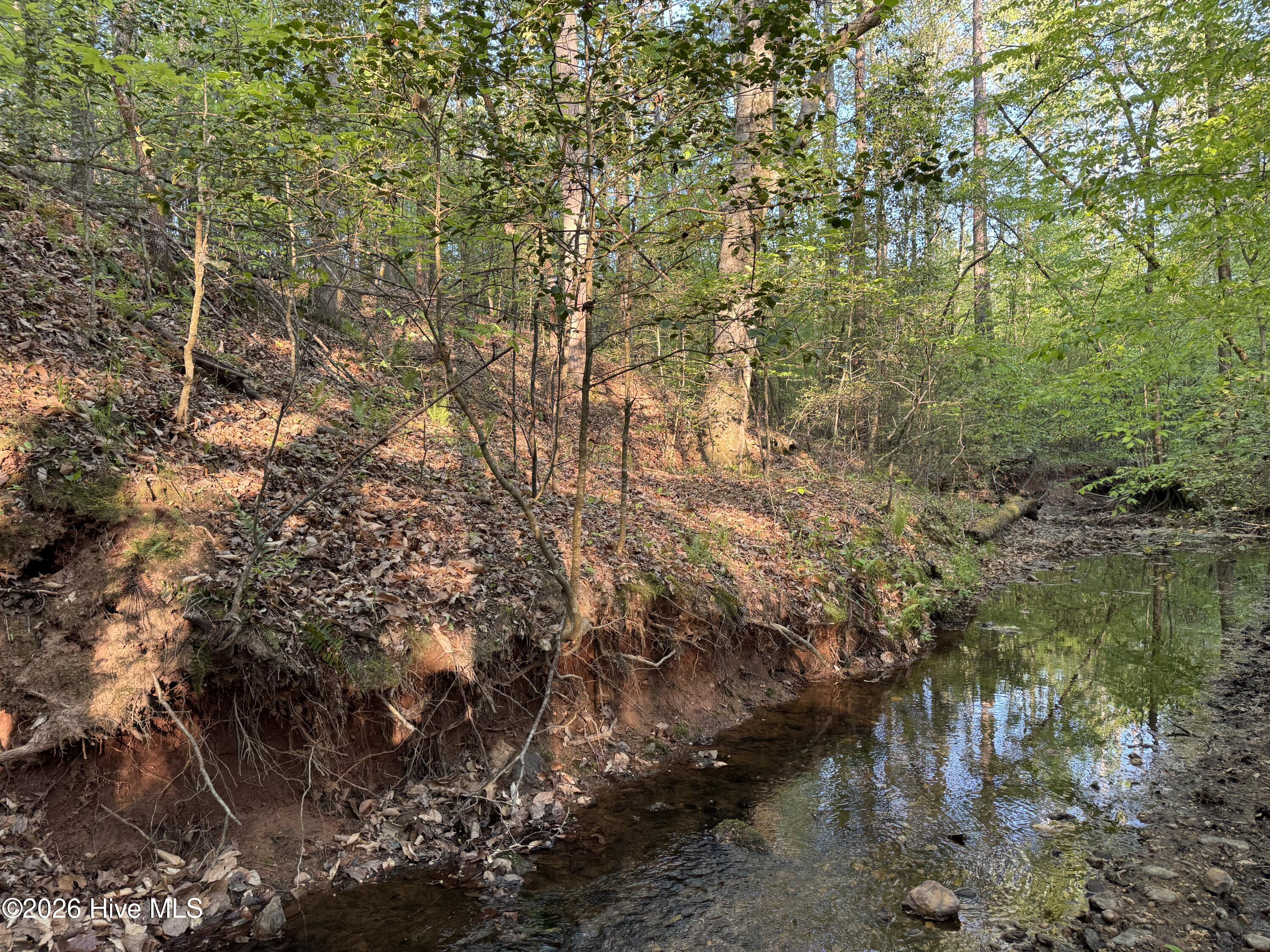 0 Cartledge Creek Road Rockingham, NC 28379 - Photo 11 of 32 Cartledge Creek