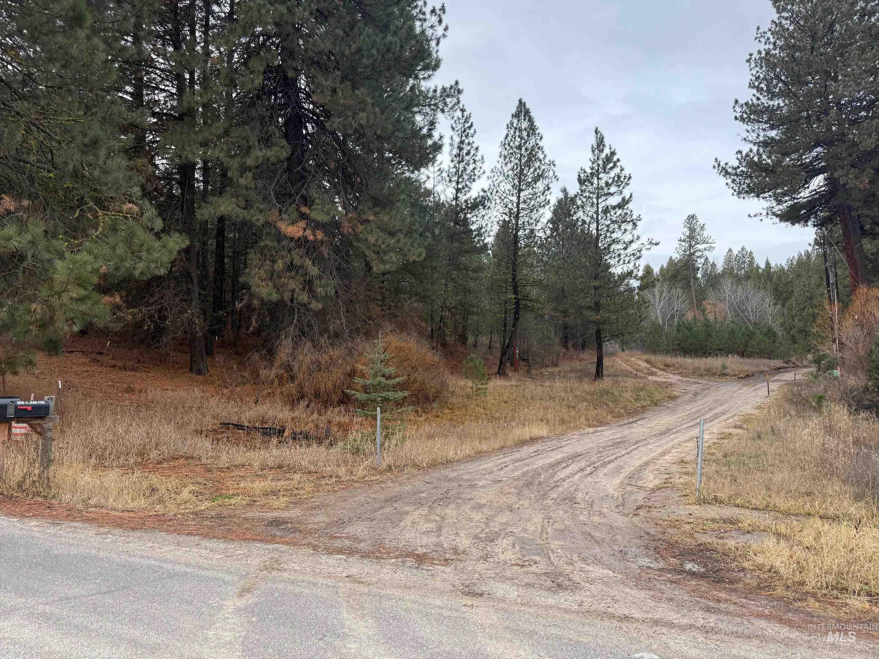 111 Cabarton Road Cascade, ID 83611 - Photo 13 of 15 View of asphalt road