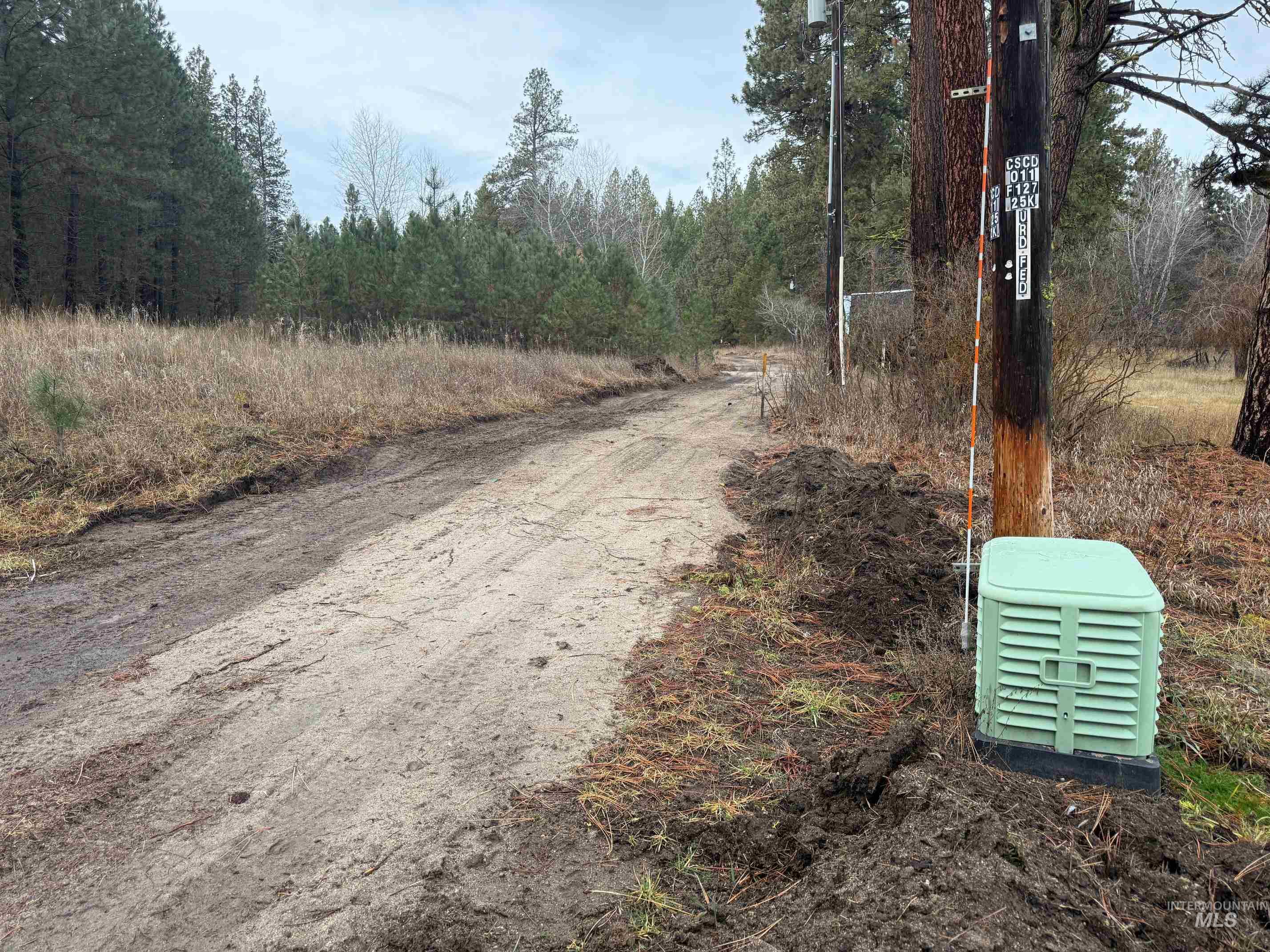 111 Cabarton Road Cascade, ID 83611 - Photo 3 of 15 View of dirt / gravel road with a forest view