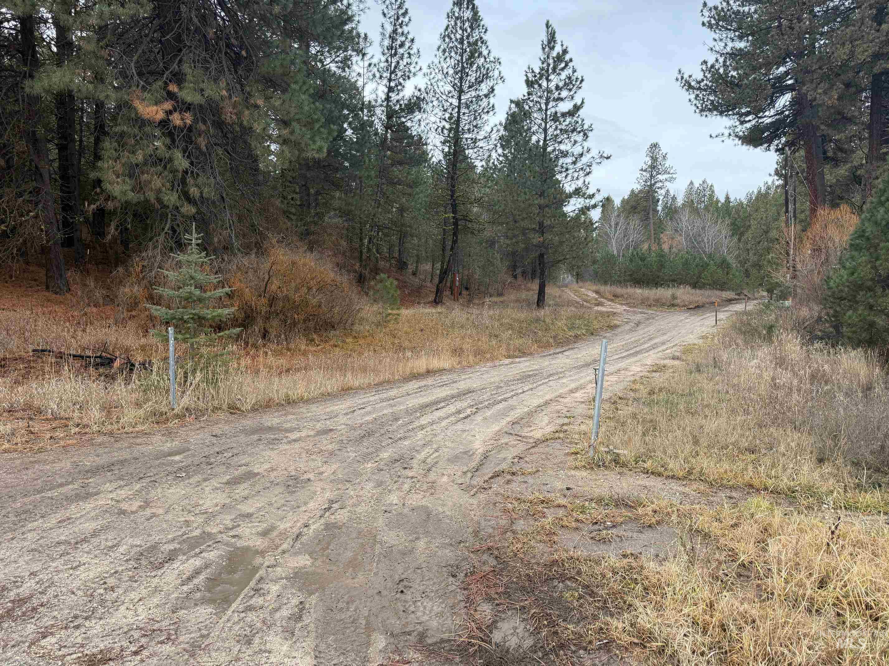 111 Cabarton Road Cascade, ID 83611 - Photo 10 of 15 View of dirt / gravel road featuring a forest view