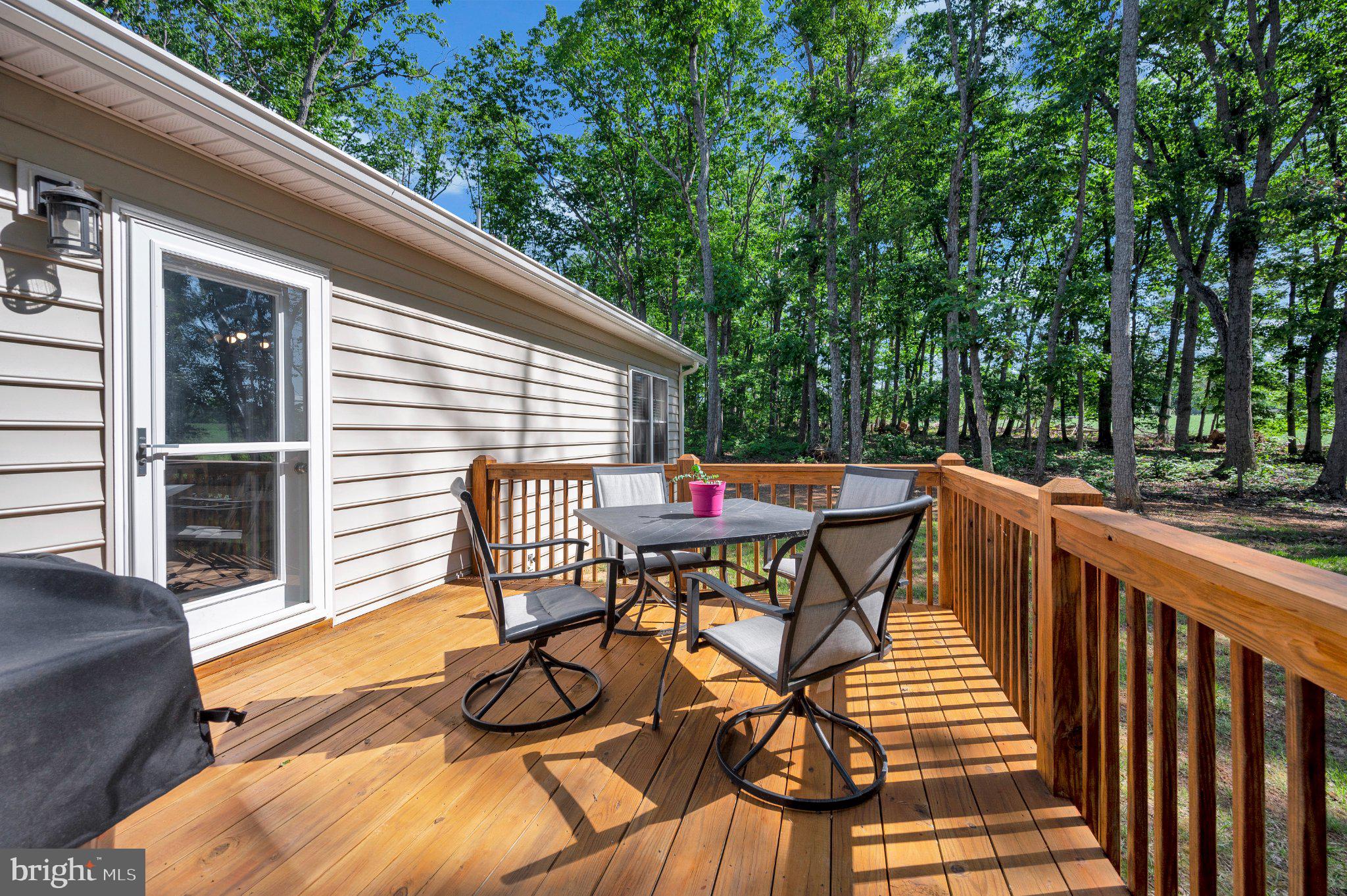 28282 Tatum Road Unionville, VA 22567 - Photo 3 of 52 Serene deck nestled in lush greenery.