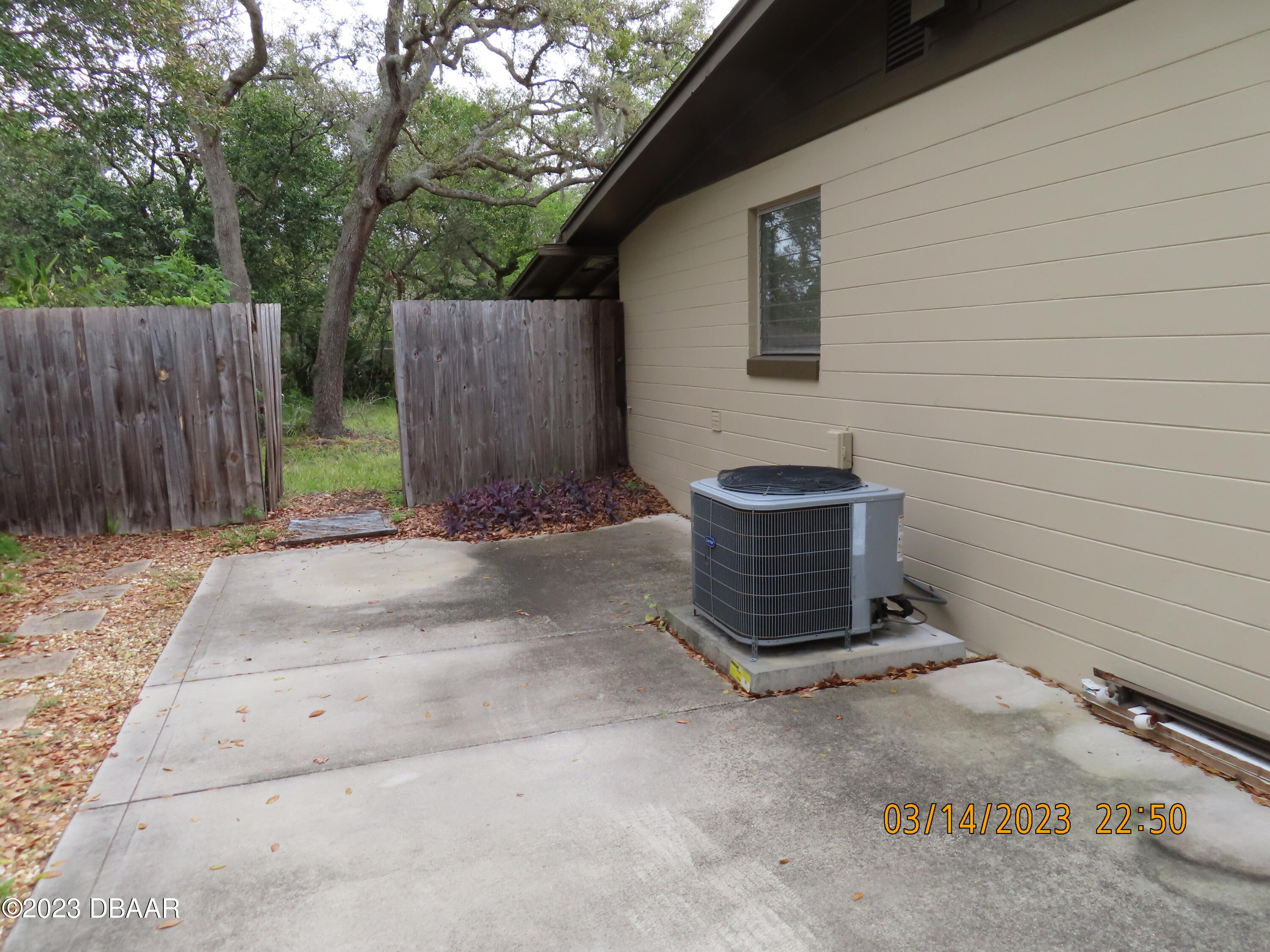 365 McIntosh Road Ormond Beach, FL 32174 - Photo 11 of 13 IMG_0905