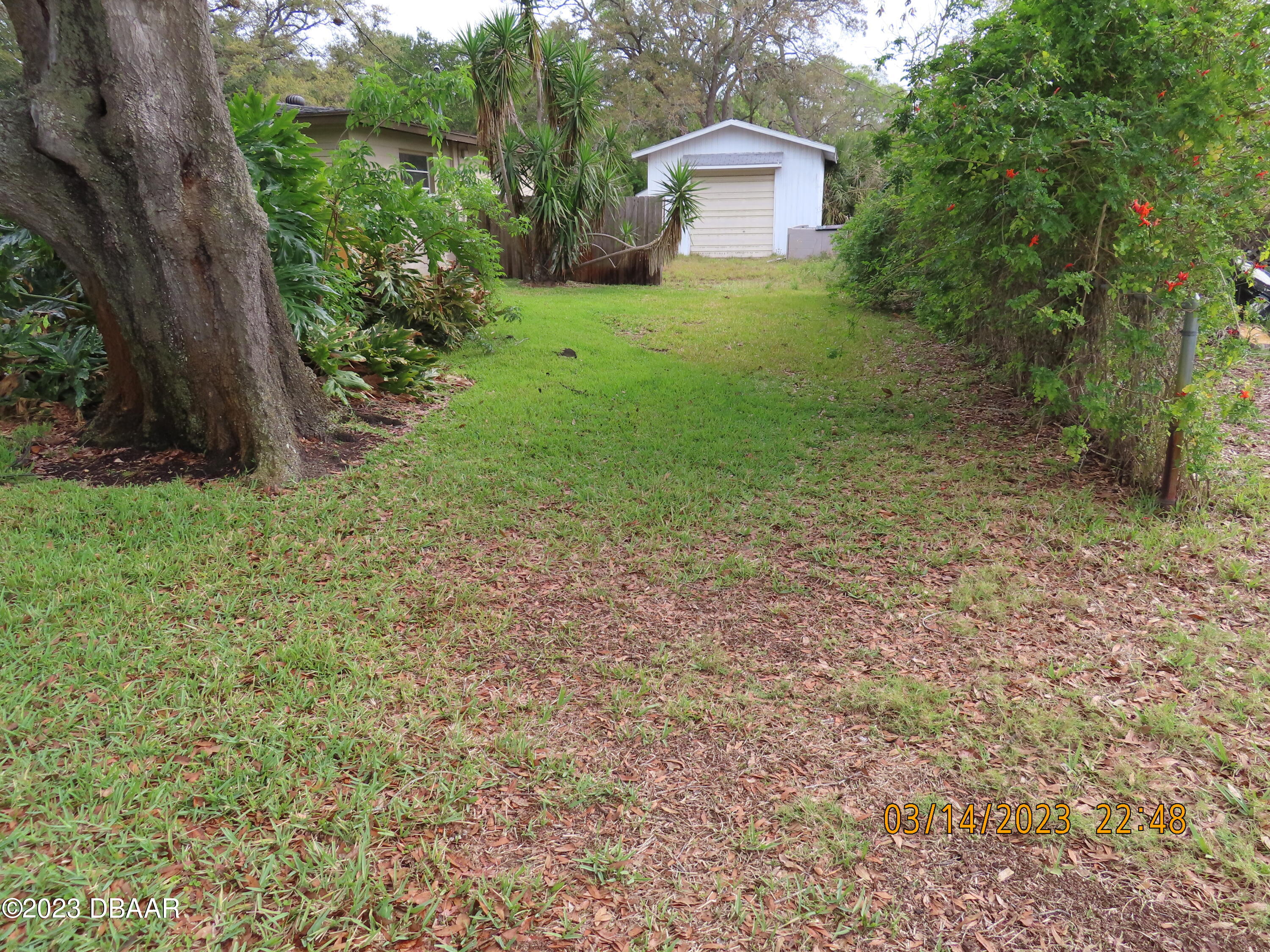 365 McIntosh Road Ormond Beach, FL 32174 - Photo 3 of 13 IMG_0896