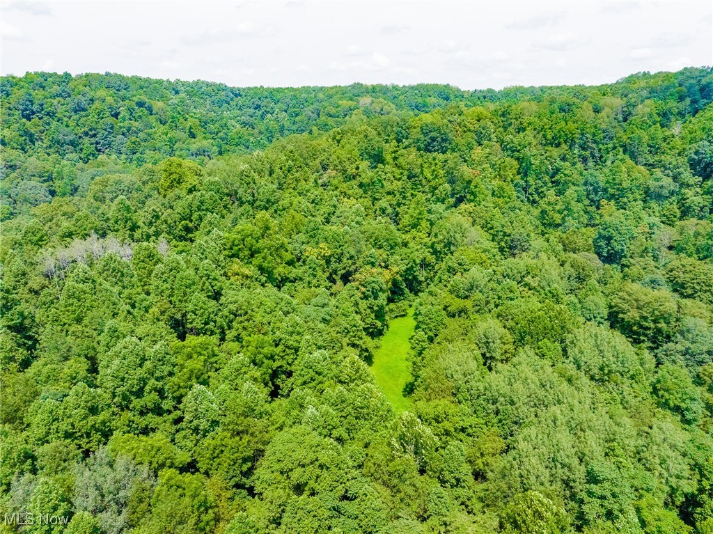 Prider Road Kimbolton, OH 43749 - Photo 34 of 48 Bird's eye view of a forest