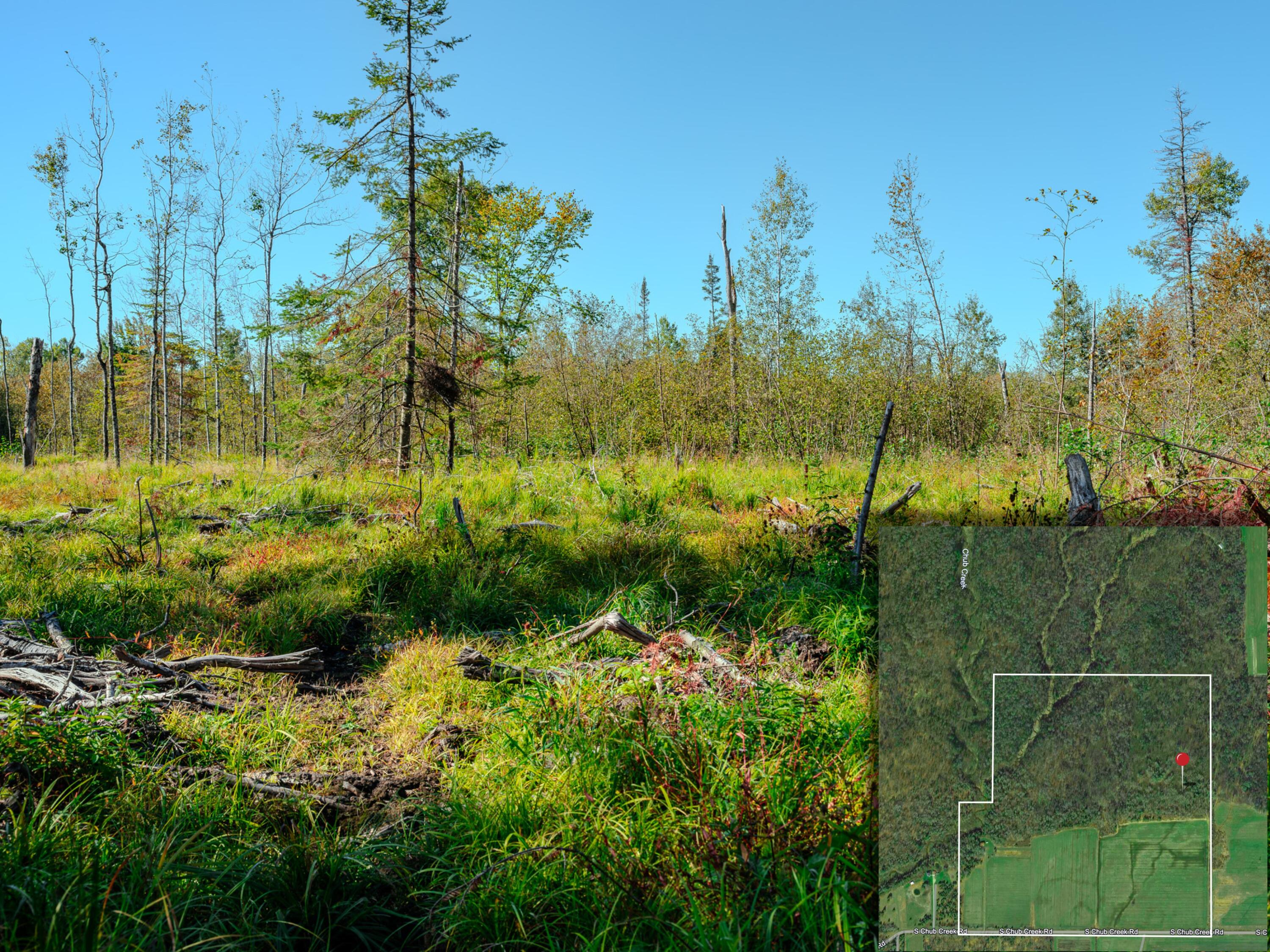 22758 South Chub Creek Road, Unit LOT 6 Rudyard, MI 49780 - Photo 1 of 9 36