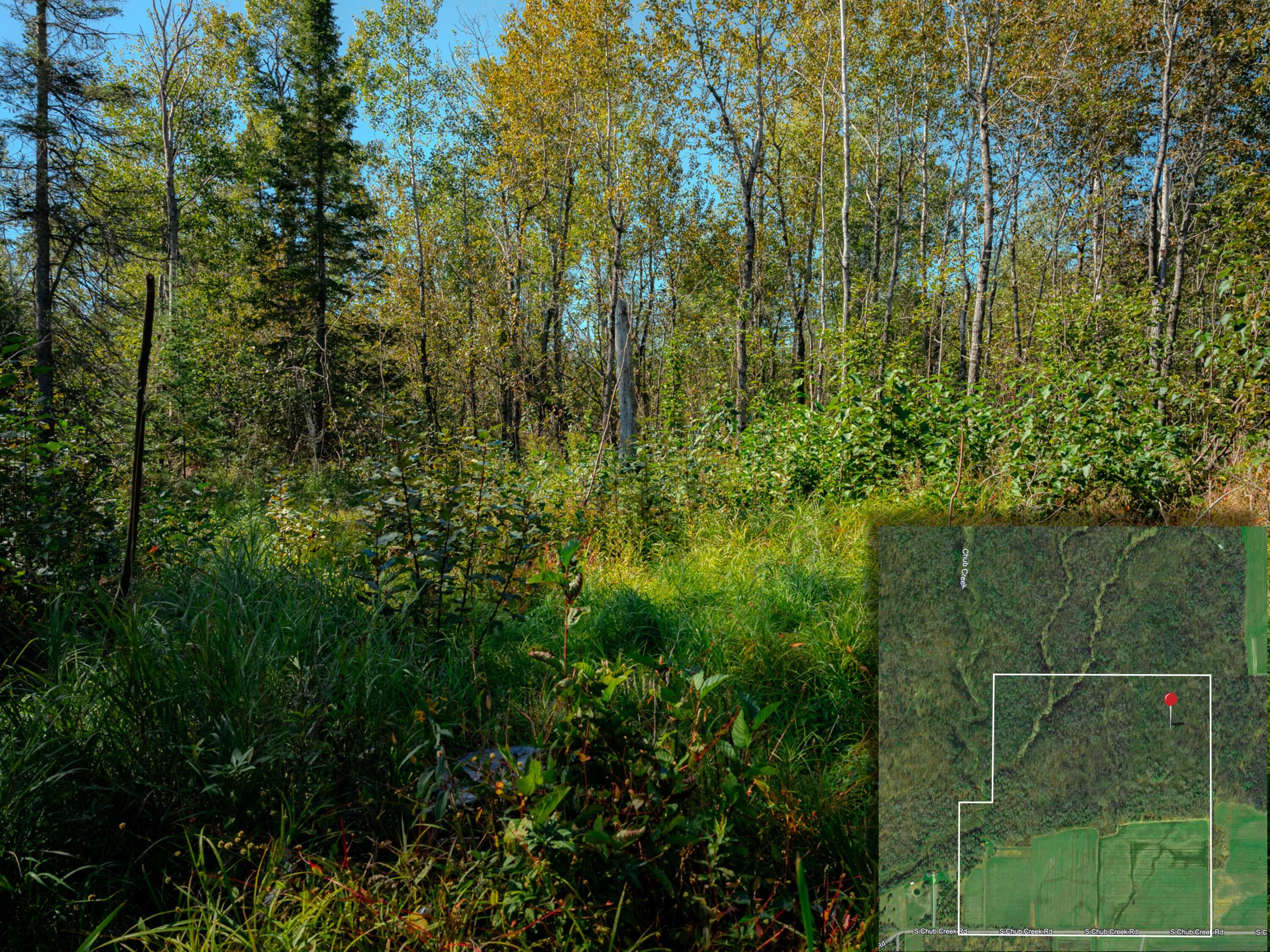 22758 South Chub Creek Road, Unit LOT 6 Rudyard, MI 49780 - Photo 2 of 9 37