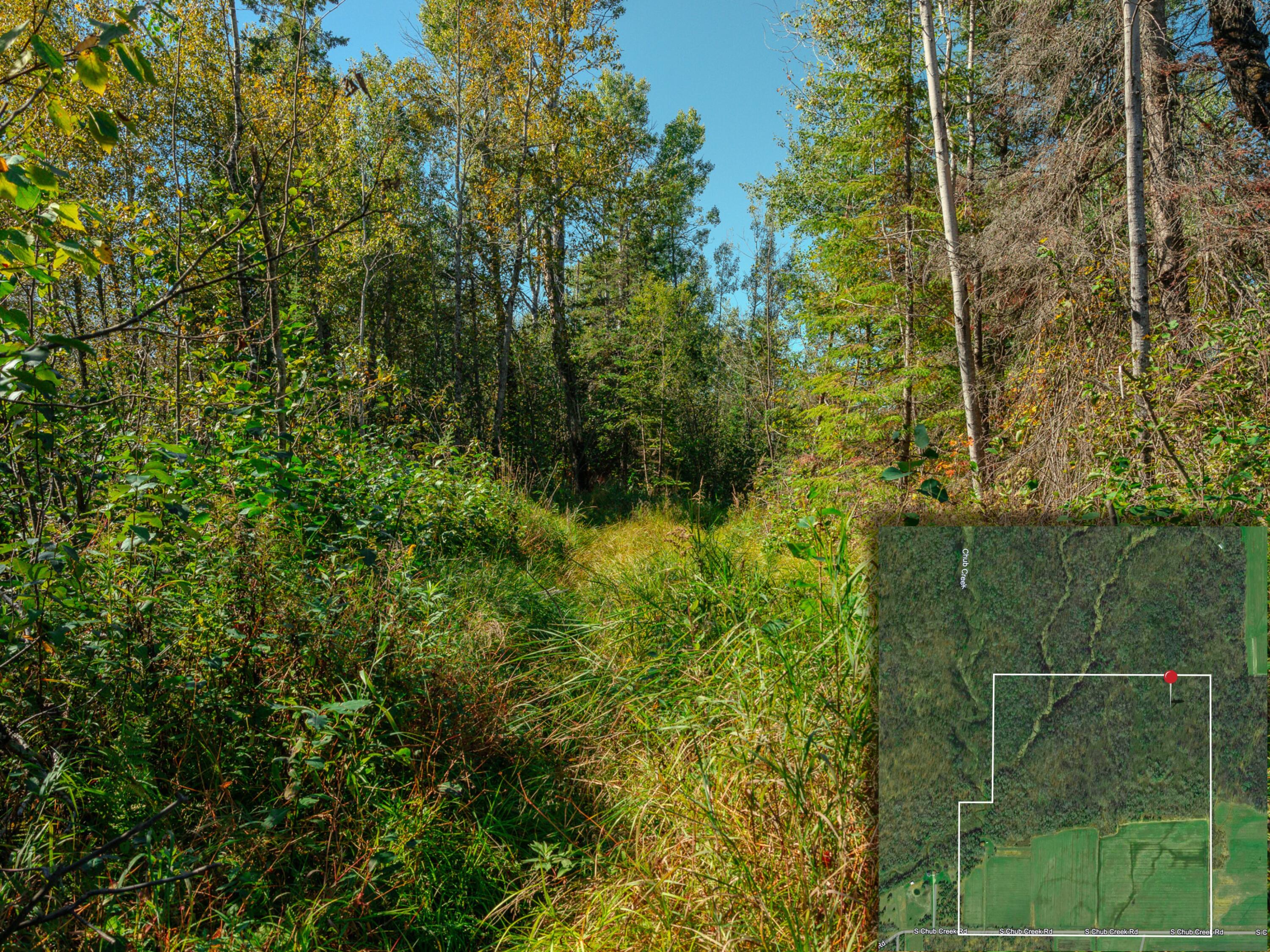 22758 South Chub Creek Road, Unit LOT 6 Rudyard, MI 49780 - Photo 3 of 9 38