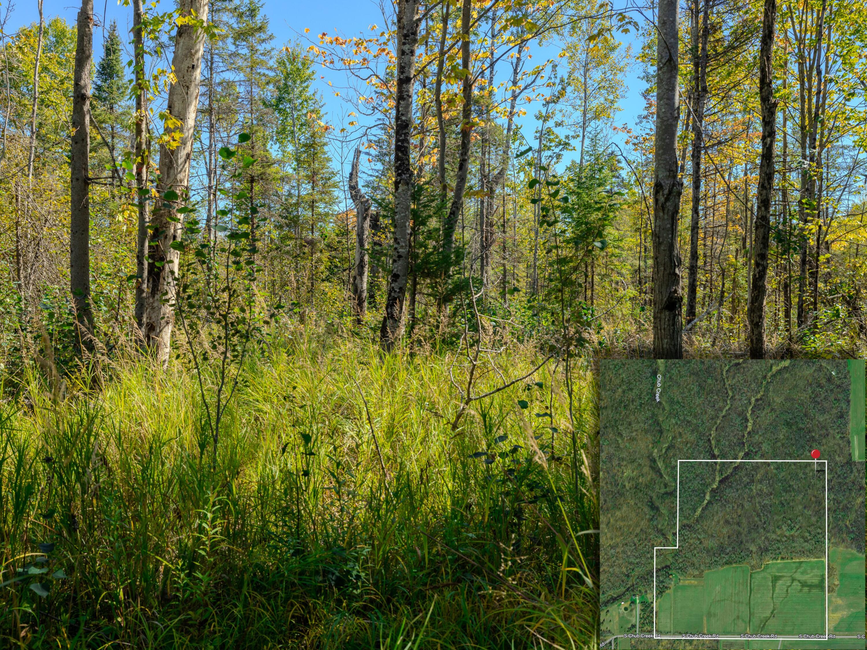 22758 South Chub Creek Road, Unit LOT 6 Rudyard, MI 49780 - Photo 4 of 9 39