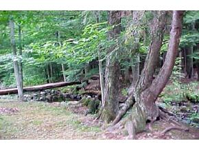 118 Clinton Road Antrim, NH 03440 - Photo 4 of 5