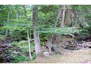 118 Clinton Road Antrim, NH 03440 - Photo 5 of 5