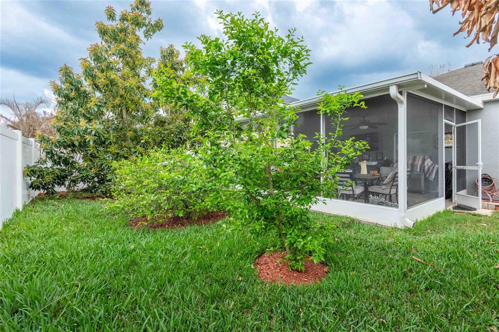 2814 Maple Brook Loop Lutz, FL 33558 - Photo 24 of 38