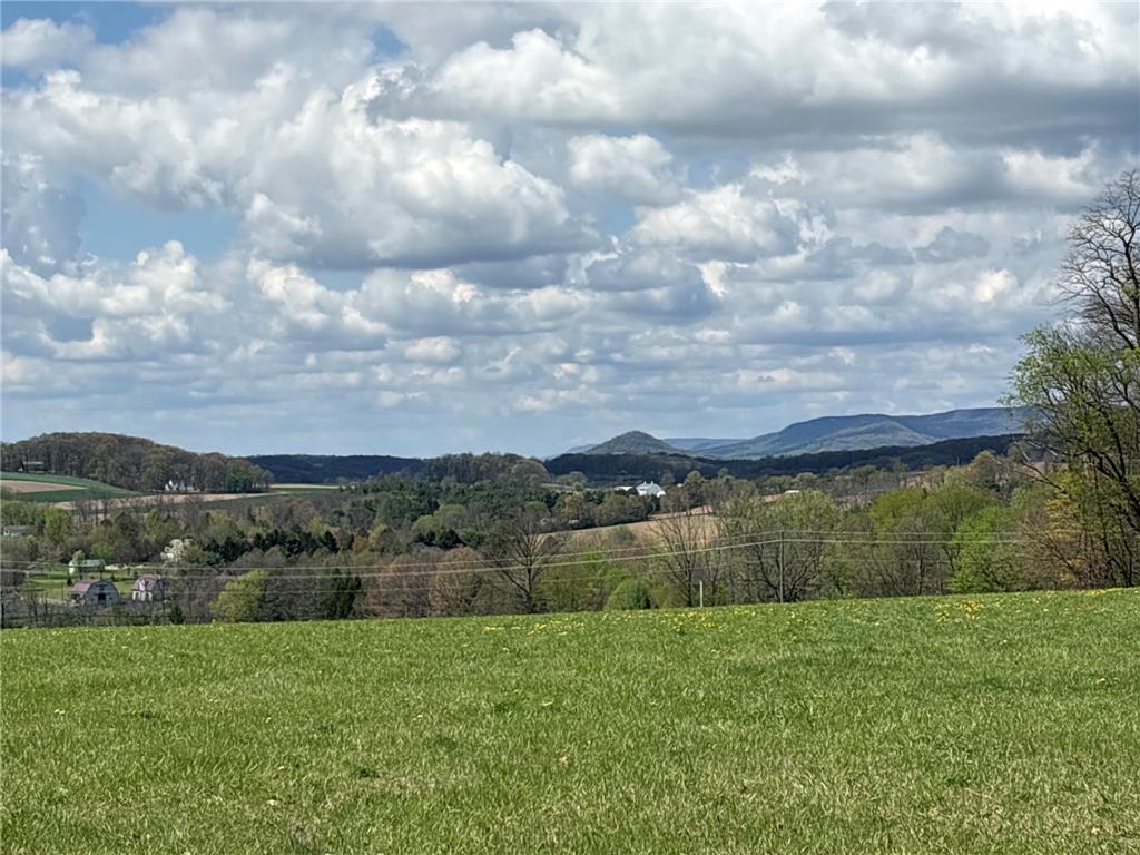 4563 Stony Ridge Road New Tripoli, PA 18066 - Photo 32 of 34 Rolling hills and distant mountains frame this verdant pasture under an expansive sky.