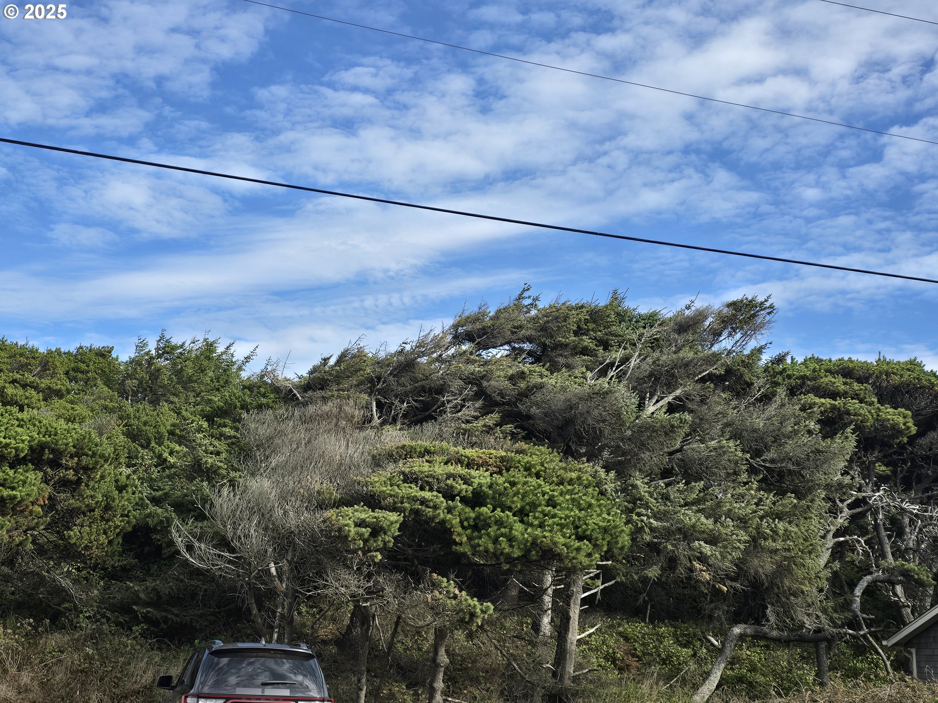 0 Lookout Street, Unit 1 Florence, OR 97439 - Photo 8 of 14 a view of a city with lush green forest