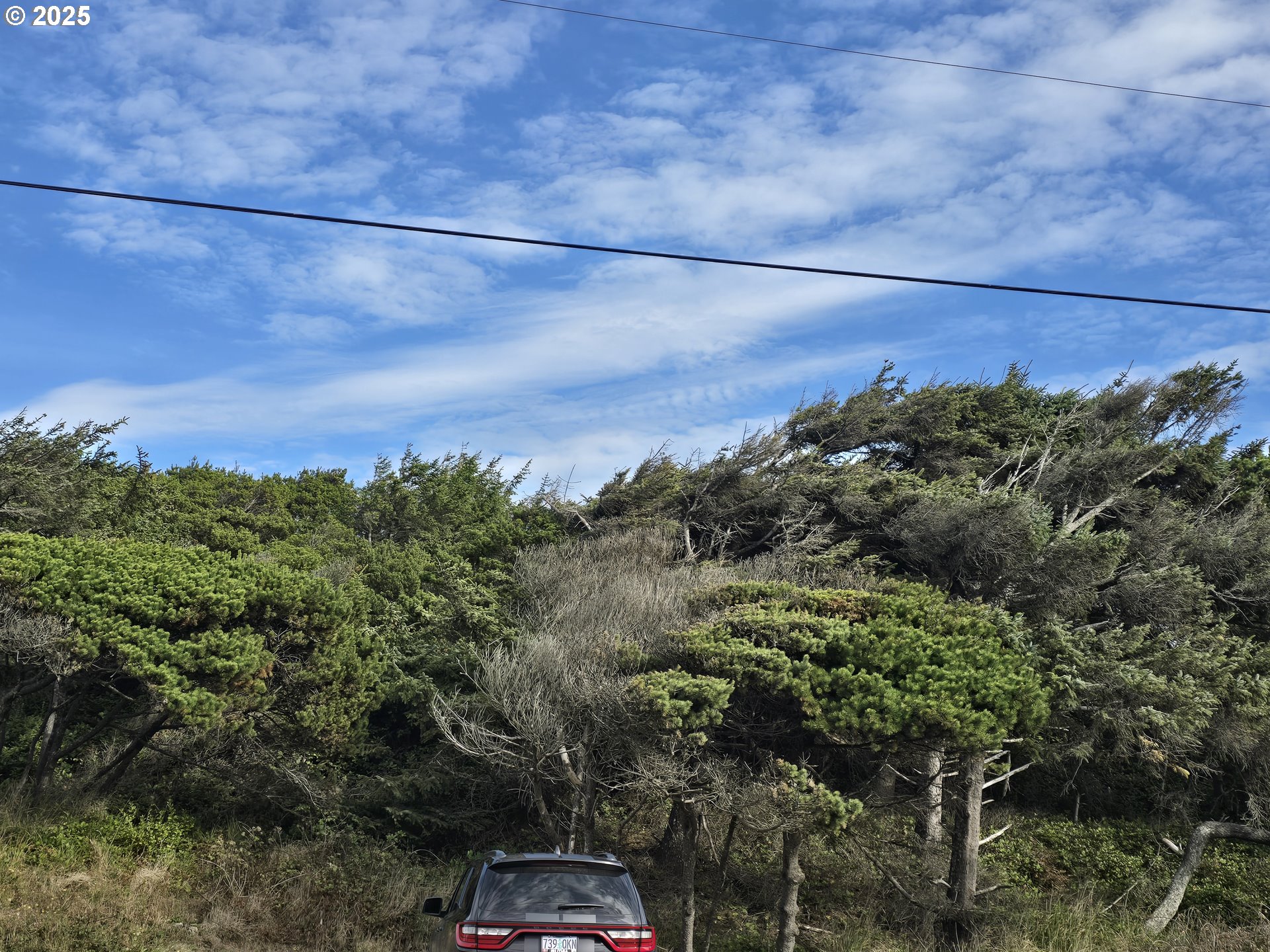 0 Lookout Street, Unit 1 Florence, OR 97439 - Photo 9 of 14 a view of a yard