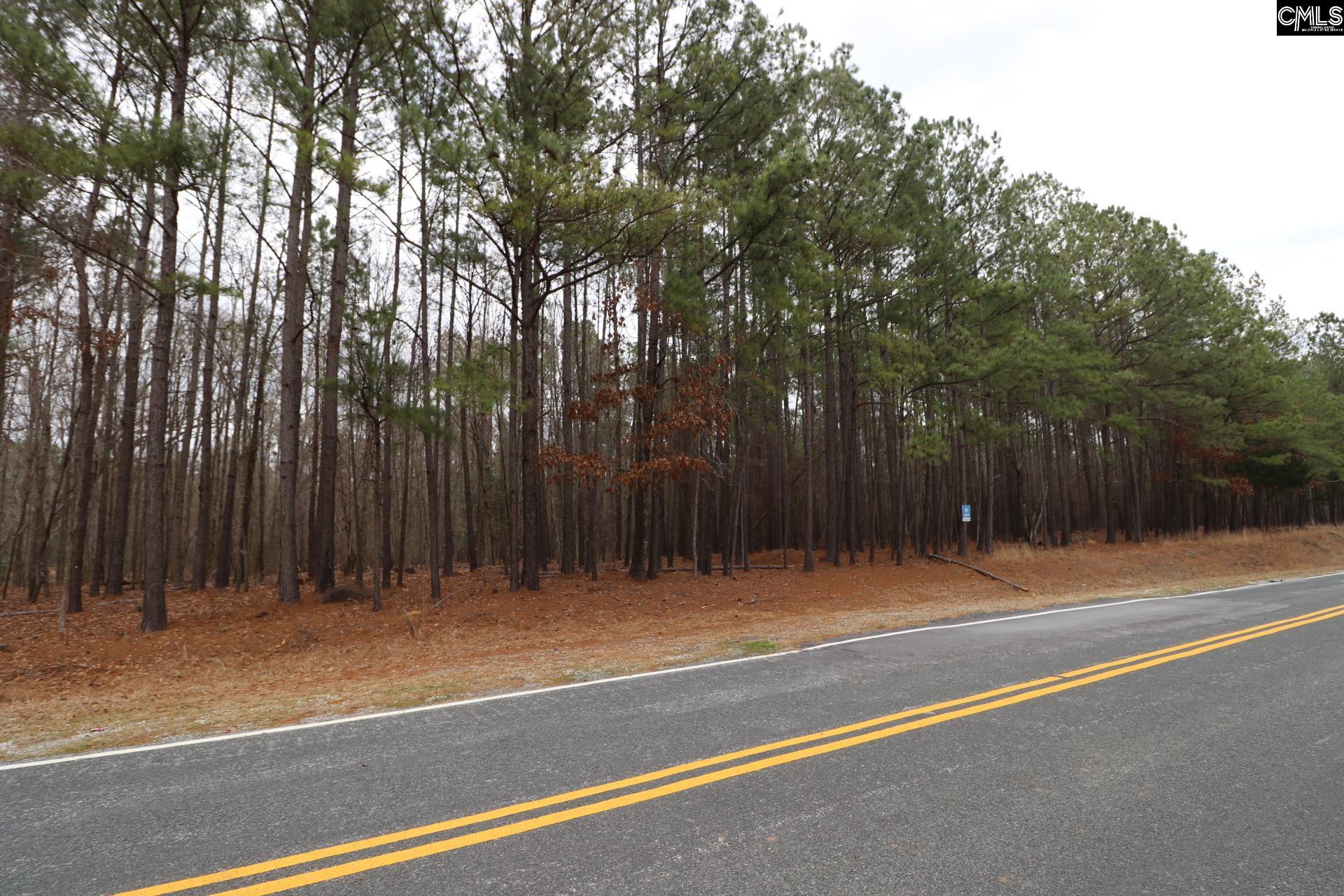Lot 229 Granny Hill Road Prosperity, SC 29127 - Photo 40 of 61