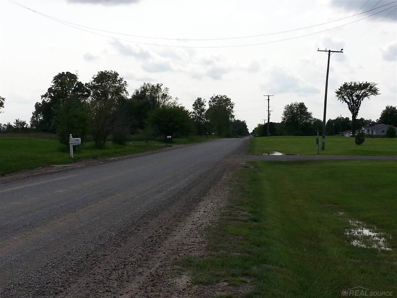11140 Hill Road Memphis, MI 48041 - Photo 49 of 56 31243705-49.JPG