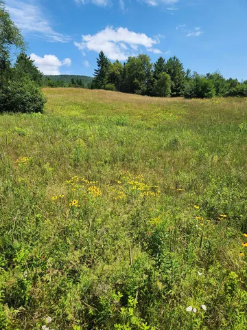 $695,900 | 348 Parker Road, Unit 720, Carroll, NH 03598