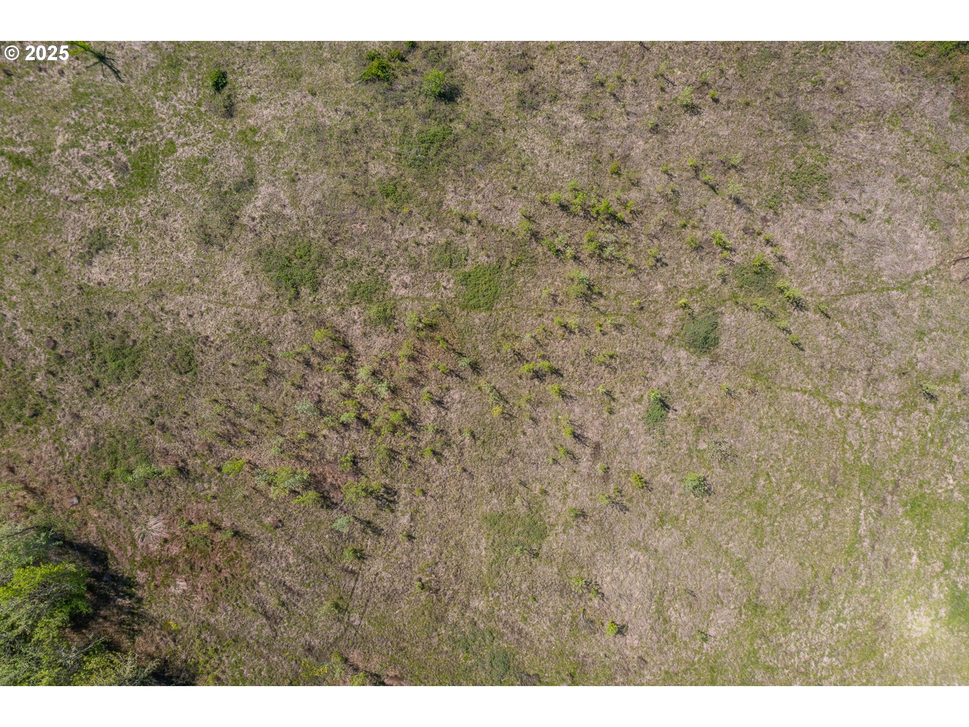 29055 Santiam Terrace Road Lebanon, OR 97355 - Photo 11 of 43 Gallery Image 11