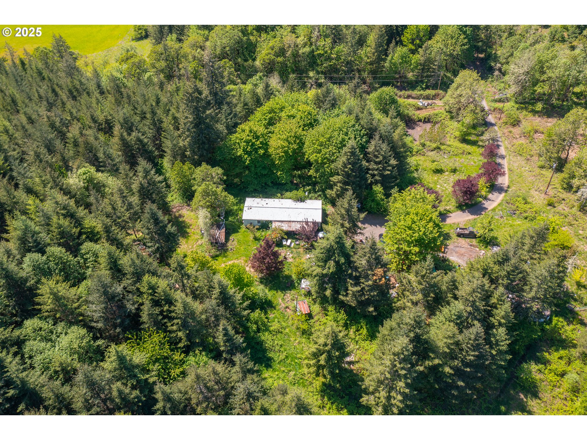 29055 Santiam Terrace Road Lebanon, OR 97355 - Photo 16 of 43 Gallery Image 16