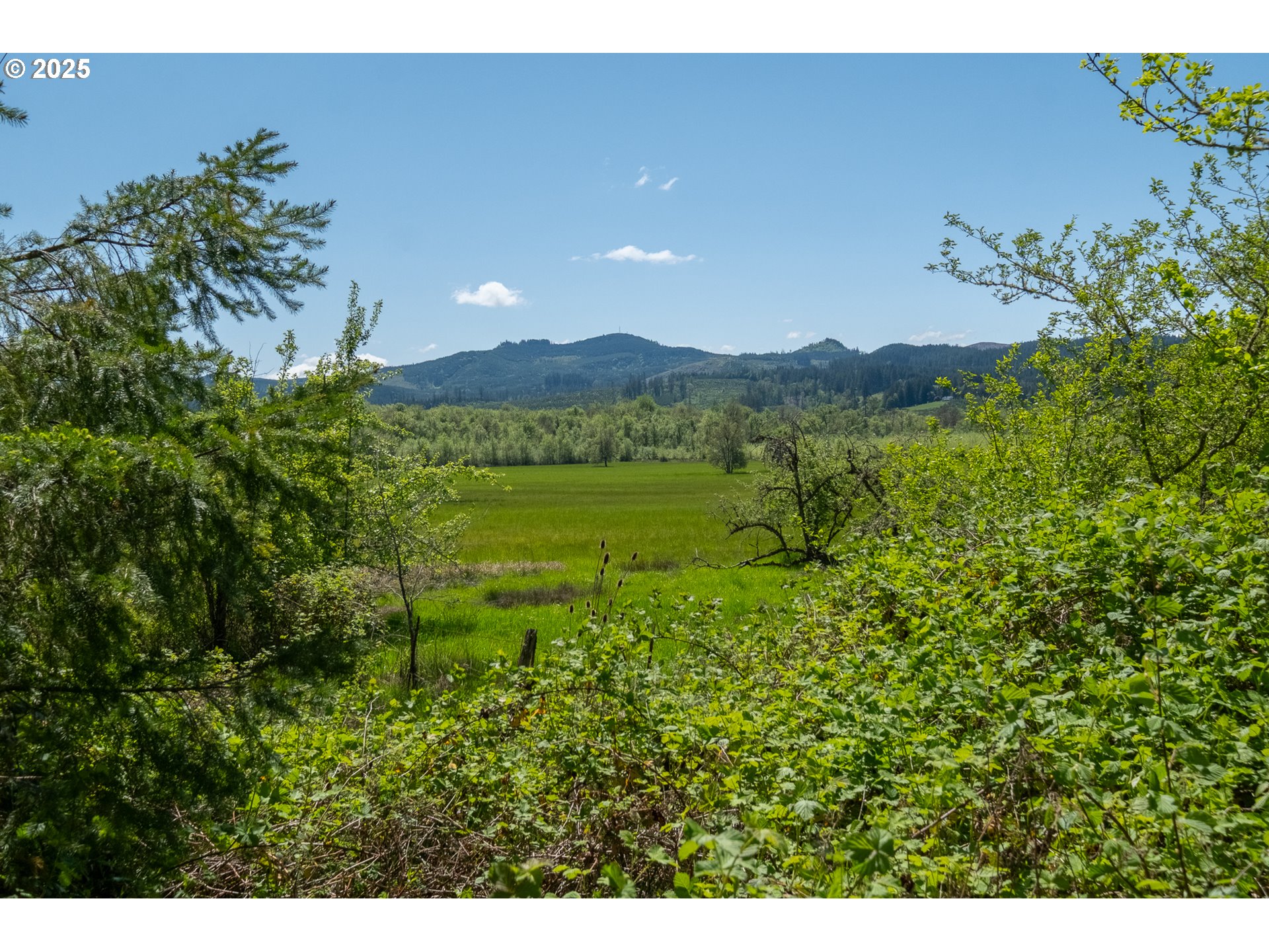 29055 Santiam Terrace Road Lebanon, OR 97355 - Photo 23 of 43 Gallery Image 23