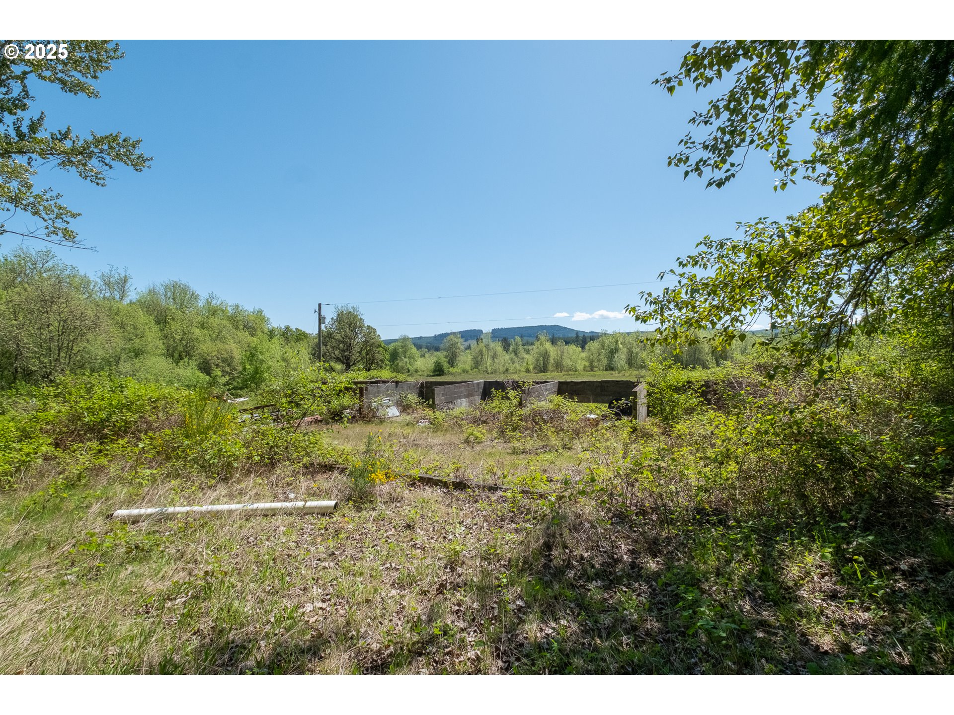 29055 Santiam Terrace Road Lebanon, OR 97355 - Photo 25 of 43 Gallery Image 25